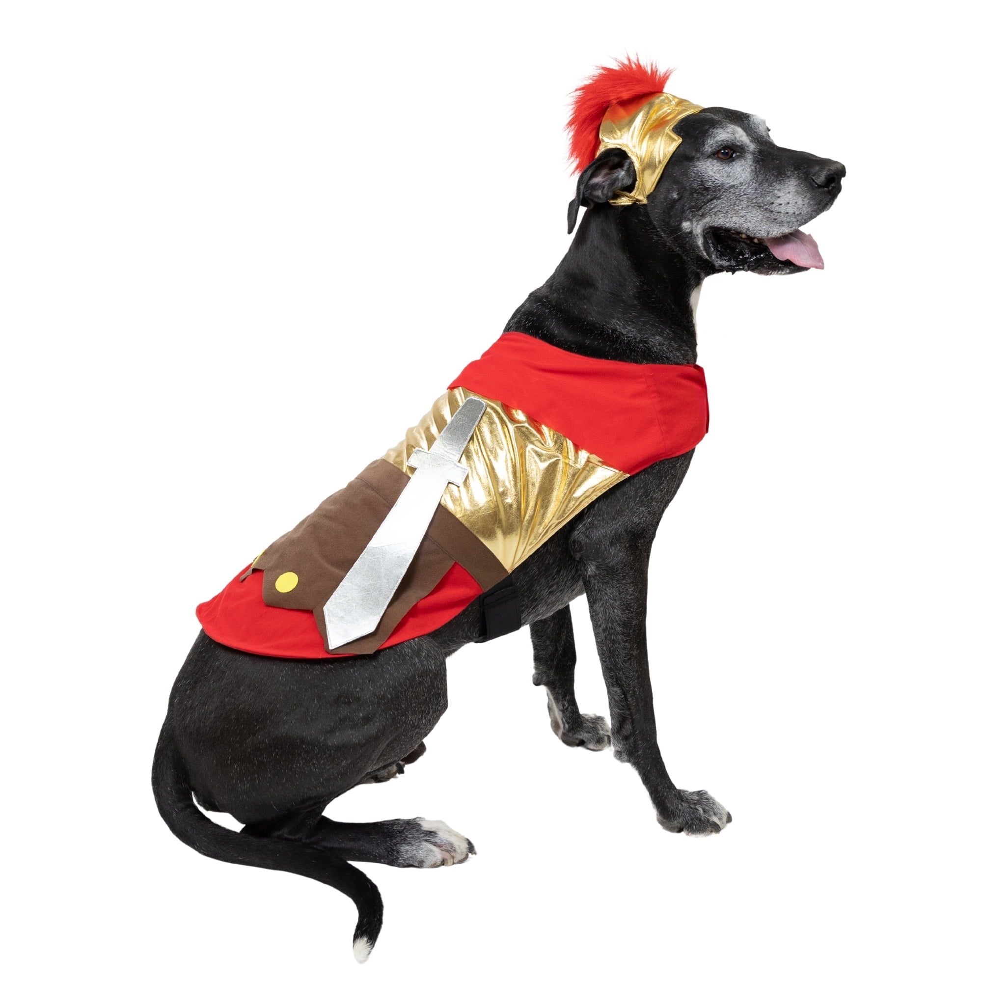 Vibrant Life Halloween Gladiator Costume for Dogs, Multicolor, Extra Large