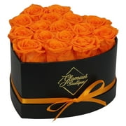 GLAMOUR BOUTIQUE 16-Piece Forever Flowers Heart Shape Box - Preserved Roses, Immortal Roses That Last A Year - Eternal Rose Preserved Flowers for Delivery Prime Mothers Day & Valentines Day - Orange