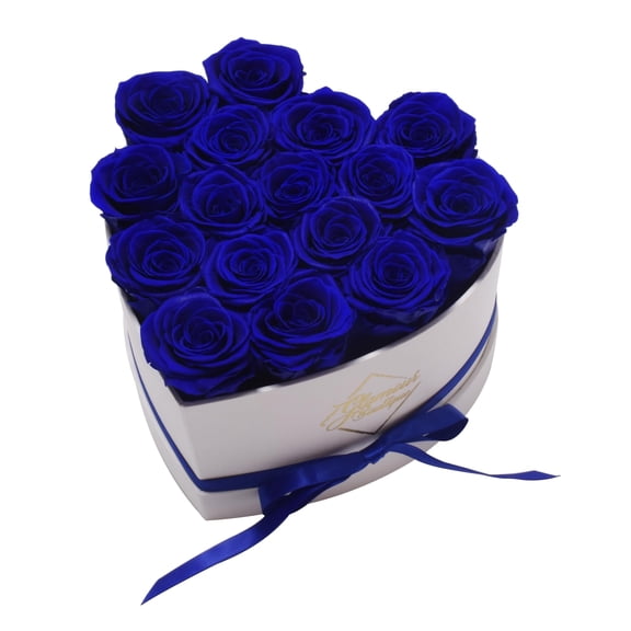 GLAMOUR BOUTIQUE 16-Piece Forever Flowers Heart Shape Box - Preserved Roses, Immortal Roses That Last A Year - Eternal Rose Preserved Flowers for Delivery Prime Mothers Day & Valentines Day - Blue