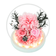 thumbnail image 1 of GLAMOUR BOUTIQUE Preserved Flowers Rose in Glass Dome w/Light - Long Lasting Flowers, Flower Gifts for Women for Any Occasion - Home Decor, Comes w/Thick Gift Box - Forever Glass Rose Flowers - Pink, 1 of 9