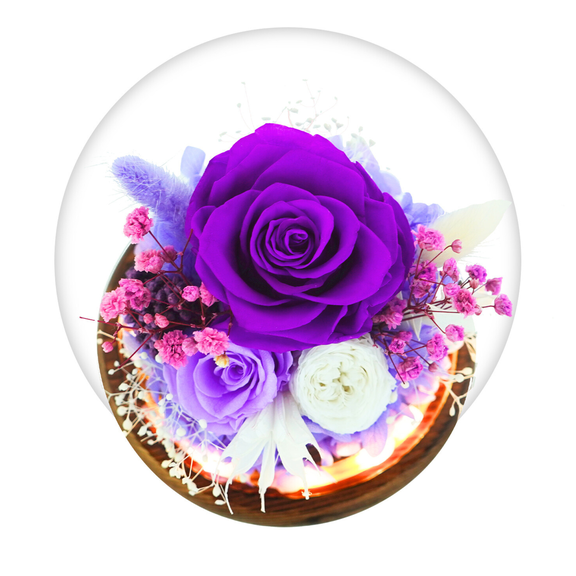 GLAMOUR BOUTIQUE Preserved Flowers Rose in Glass Dome w/Light - Long Lasting Flowers, Flower Gifts for Women for Any Occasion - Home Decor, Comes w/Thick Gift Box - Glass Rose Flowers - Purple
