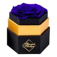 thumbnail image 1 of GLAMOUR BOUTIQUE Single Forever Blue Rose Box - Preserved Roses in a Box, Immortal Roses in a Box That Last A Year - Eternal Rose Preserved Flowers for Delivery Prime Mothers & Valentines Day Gift, 1 of 9