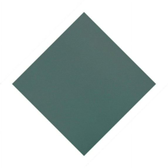 GLI Mesh Safety Cover 18x36 ft Rectangle with 4x8 Right Step, Green 1836RERSF48SAPG