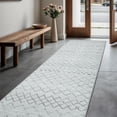 thumbnail image 1 of GLN Rugs Timgad - Contemporary, Machine Washable Area Rug 2'6"x10' Modern Gray Home Carpet, All Ages, 1 of 10