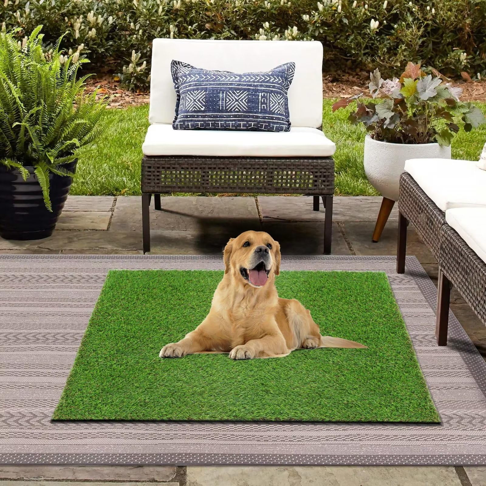 GLOBREEN Realistic Artificial Turf Grass Mat, 31"x39" Dogs Fake Grass