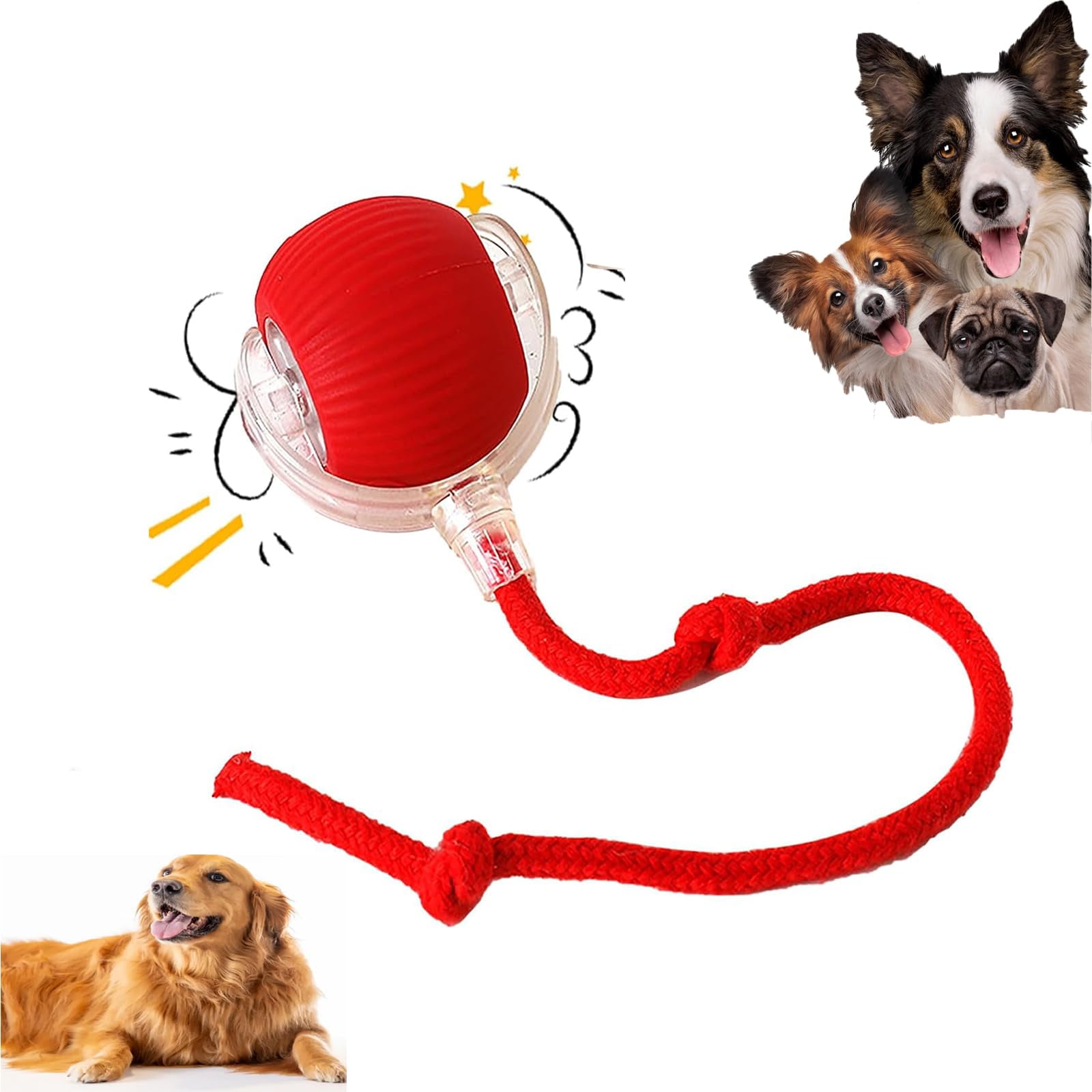 Viral Rolling Ball, Interactive Dog Ball Toy, Auto Rolling & Bouncing