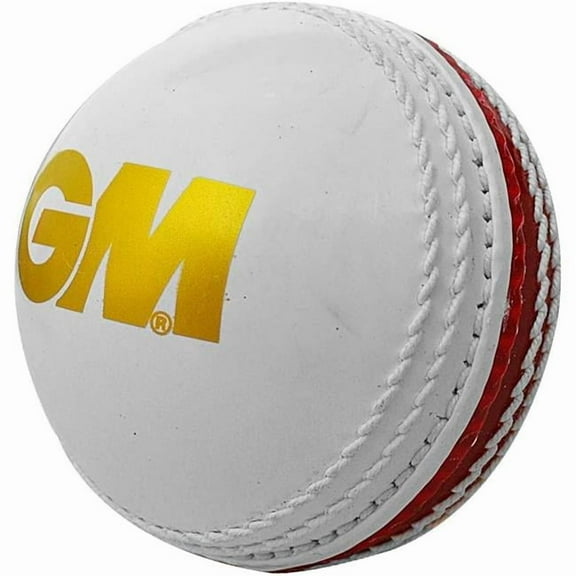 GM 1600940 Skill Poly Tennis Cricket Ball Soft - White & red