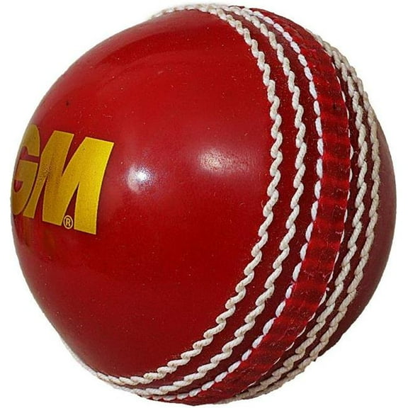 GM 1600941 Skill Poly Tennis Cricket Ball Soft - Red