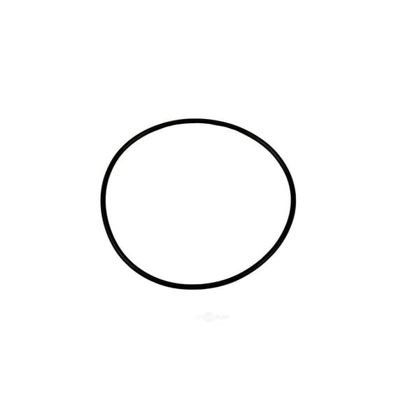 GM 90079848 Differential Seal