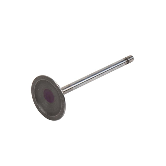 GM Genuine Parts 12575351 Engine Intake Valve