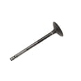 thumbnail image 1 of GM Genuine Parts 12631974 Engine Exhaust Valve, 1 of 3