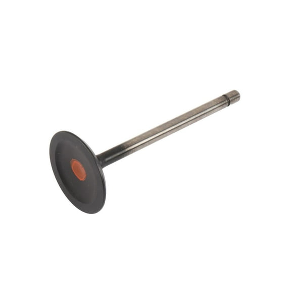 GM Genuine Parts 12662527 Engine Intake Valve