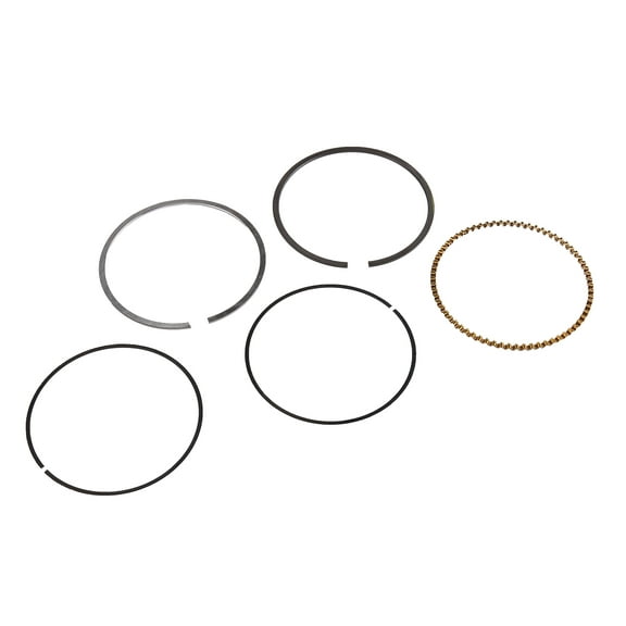 GM Genuine Parts 12670787 Engine Piston Ring Kit
