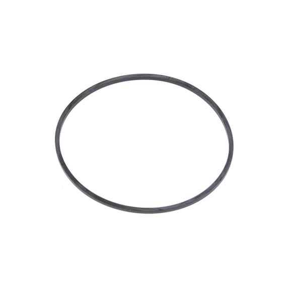 ACDelco Differential Seal 15521872