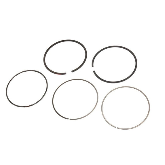 GM Genuine Parts 89018107 Engine Piston Ring Kit