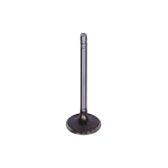 GM Genuine Parts Engine Intake Valve