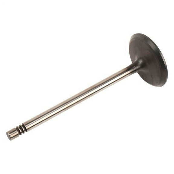 GM Genuine Parts Engine Intake Valve