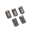 thumbnail image 1 of GM Genuine Parts Engine Valve Spring, 1 of 2