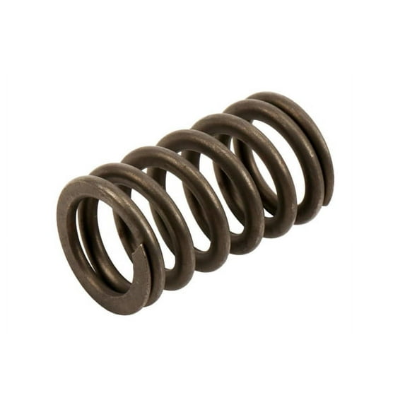 GM Genuine Parts Engine Valve Spring