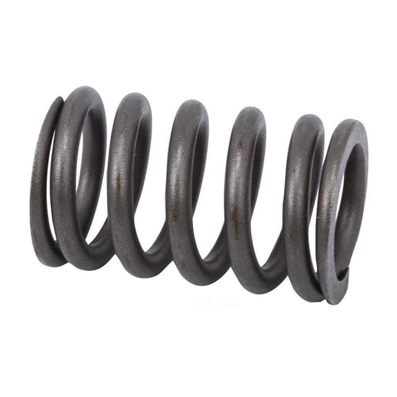 GM Genuine Parts 12565199 Engine Valve Spring