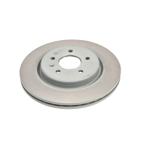 GM Genuine Parts Rear Brake Rotor