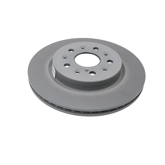GM Genuine Parts Rear Brake Rotor