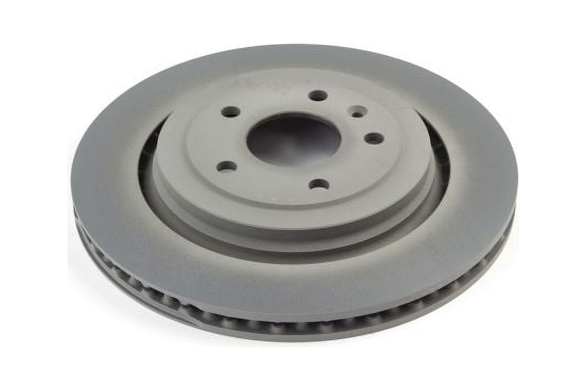GM Genuine Parts Rear Brake Rotor