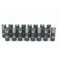 thumbnail image 1 of GM Performance Motor 88958689 Hydraulic Roller Lifter Racing 0.842 in. OD GM LS-Series - Set of 16, 1 of 1