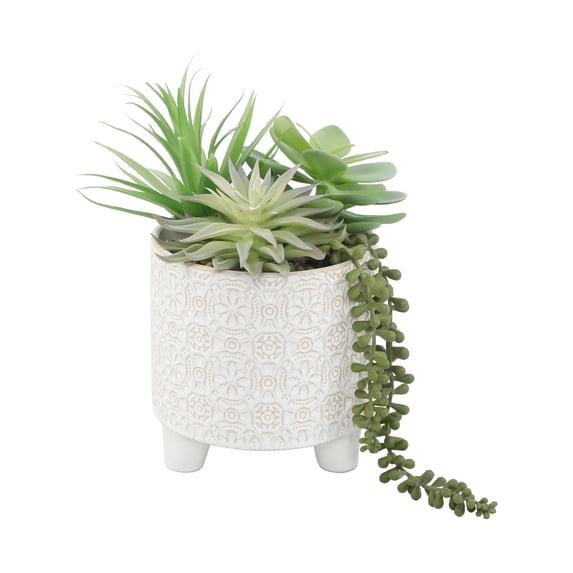 GN Succ mix in 6" Footed Ivory Catheral