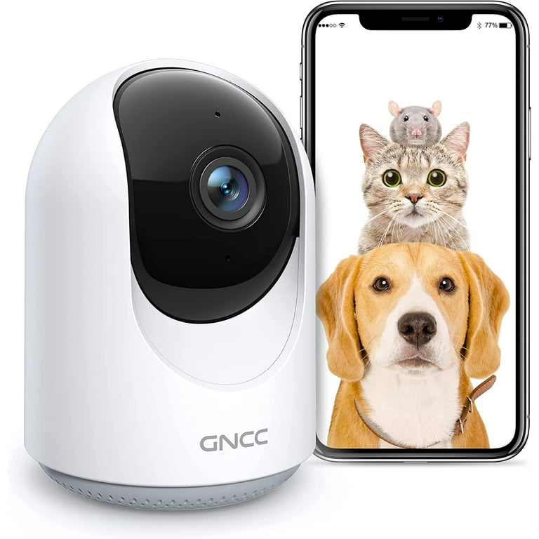 Dog camera 2024 with audio