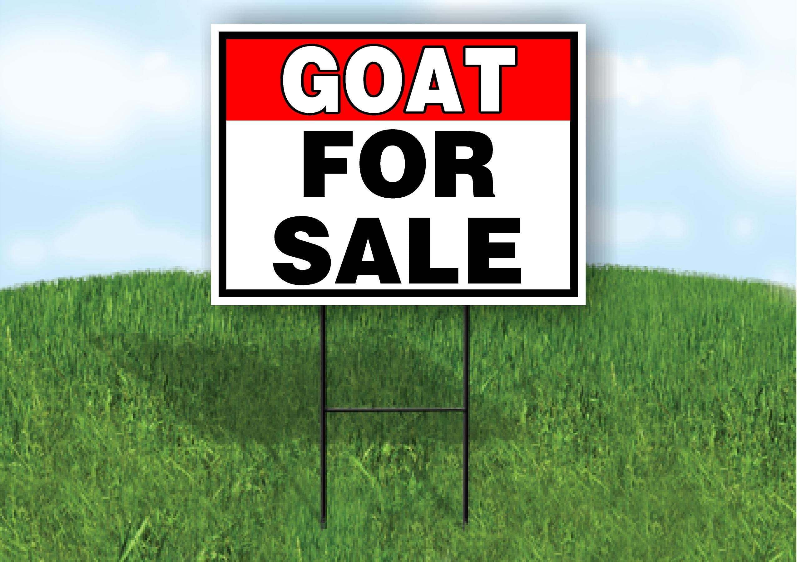 GOAT FOR SALE RED BLACK 18 in x 24 in Yard Sign Road Sign with Stand, Double Sided