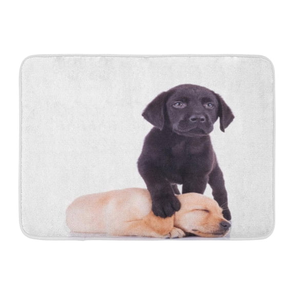 GODPOK Adorable Yellow Puppy Little Black Labrador Standing with Paw on Sleeping Puppy's Head White Lab Animal Rug Doormat Bath Mat 23.6x15.7 inch