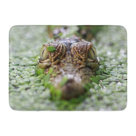 GODPOK Animal Green Alligator Crocodile Camouflage on Swamp Closeup Head of Amphibian Beautiful Rug Doormat Bath Mat 23.6x15.7 inch