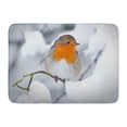 thumbnail image 1 of GODPOK Bird Winter Robin Red Breast Snow Scene Christmas Tree Rug Doormat Bath Mat 23.6x15.7 inch, 1 of 1