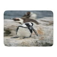 thumbnail image 1 of GODPOK Black African Penguin Spheniscus Demersus Preening at Betty's Bay Near Cape Town South Africa White Betty Rug Doormat Bath Mat 23.6x15.7 inch, 1 of 1