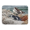 thumbnail image 1 of GODPOK Black African Penguins Spheniscus Demersus on Rock at Betty's Bay Near Cape Town South Africa White Betty Rug Doormat Bath Mat 23.6x15.7 inch, 1 of 1
