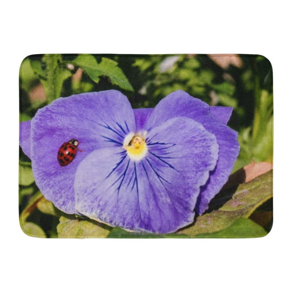 GODPOK Black Shell Harlequin Ladybird Lady Bug Resting on Purple Pansy Flower with Green Foliage Red Beetle Rug Doormat Bath Mat 23.6x15.7 inch