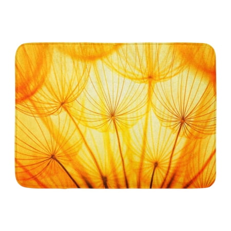 GODPOK Blue Abstract Orange Flower Dandelion Seed in Golden Sunlight Yellow Closeup Green Sky Rug Doormat Bath Mat 23.6x15.7 inch