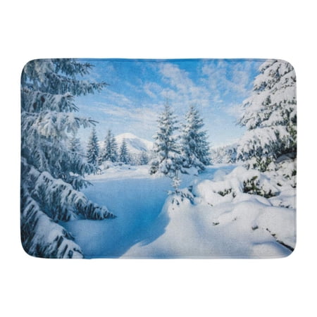GODPOK Blue Majestic White Spruces Glowing by Sunlight Picturesque and Gorgeous Wintry Scene Location Place Rug Doormat Bath Mat 23.6x15.7 inch