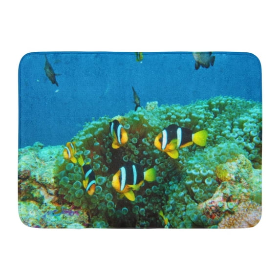 GODPOK Blue Ocean Beautiful Bright Clown Fish Playing Around Their Anemone in The Maldives Colorful Animal Rug Doormat Bath Mat 23.6x15.7 inch
