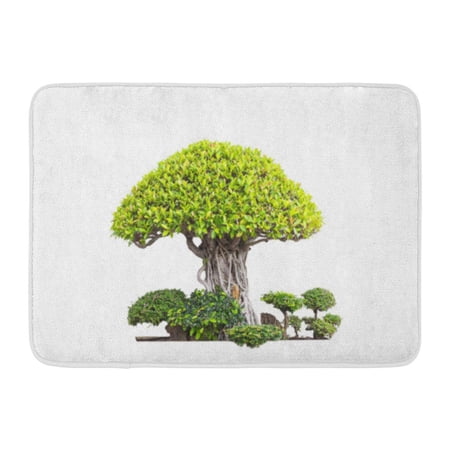 GODPOK Botanic Green Big Bonsai Trees White Botan Botanical Rug Doormat Bath Mat 23.6x15.7 inch