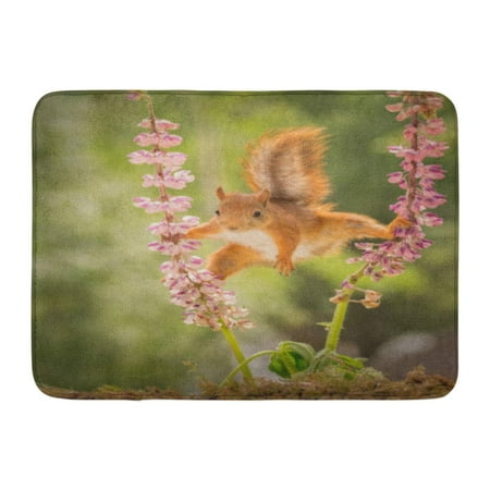 GODPOK Bright Yellow Animal Red Squirrel Standing Between 2 Lupine Flowers with Spread Legs Branch Close Rug Doormat Bath Mat 23.6x15.7 inch
