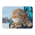 thumbnail image 1 of GODPOK Cat Animal Scottish Fold Kitten Winter Outdoors Backpack Closeup Rug Doormat Bath Mat 23.6x15.7 inch, 1 of 1