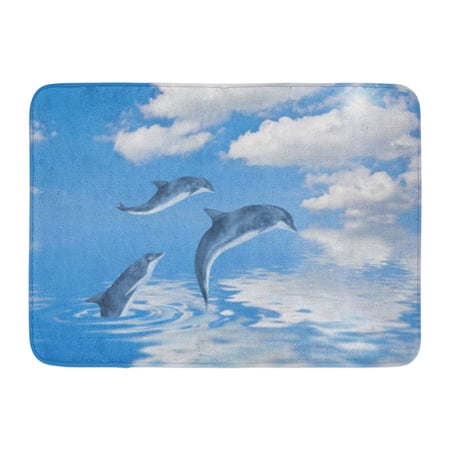 GODPOK Clouds Blue Animals Dolphins Colorful Aquatic Cloudy Rug Doormat Bath Mat 23.6x15.7 inch