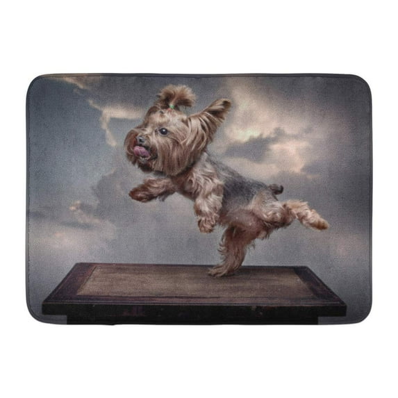 GODPOK Cute Dog Yorkie Yorkshire Terrier Dancing Standing on Its Hind Legs and Sticking Tongue Out Grey Clouds Rug Doormat Bath Mat 23.6x15.7 inch