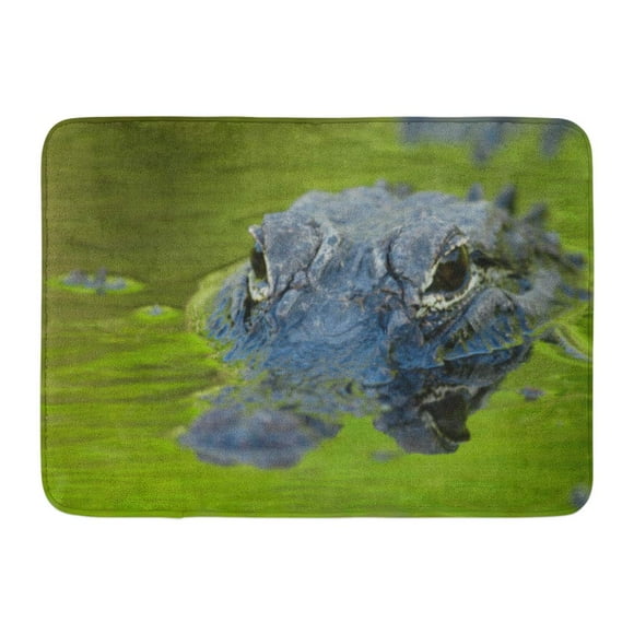 GODPOK Danger Green Animal American Alligator Mississippiensis Crocodile Eye Rug Doormat Bath Mat 23.6x15.7 inch