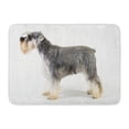 thumbnail image 1 of GODPOK Domestic Alone Schnauzer Side View on White Dog Pet Rug Doormat Bath Mat 23.6x15.7 inch, 1 of 1