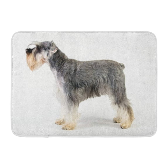GODPOK Domestic Alone Schnauzer Side View on White Dog Pet Rug Doormat Bath Mat 23.6x15.7 inch
