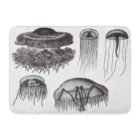GODPOK Engraved White Animal Jellyfish Collection Vintage from Meyers Konversations Lexikon 1897 Black Sea Rug Doormat Bath Mat 23.6x15.7 inch