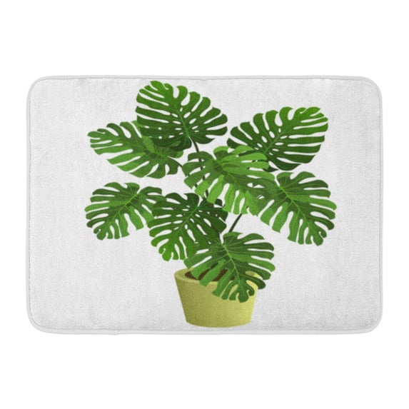 GODPOK Flowerpot Green Indoor Monstera Plant in Pot Hand Drawn on White House Environment Rug Doormat Bath Mat 23.6x15.7 inch